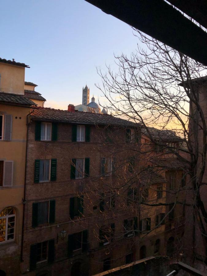 Teresa 91, Appartamento Incantevole Vista Duomo シエーナ エクステリア 写真
